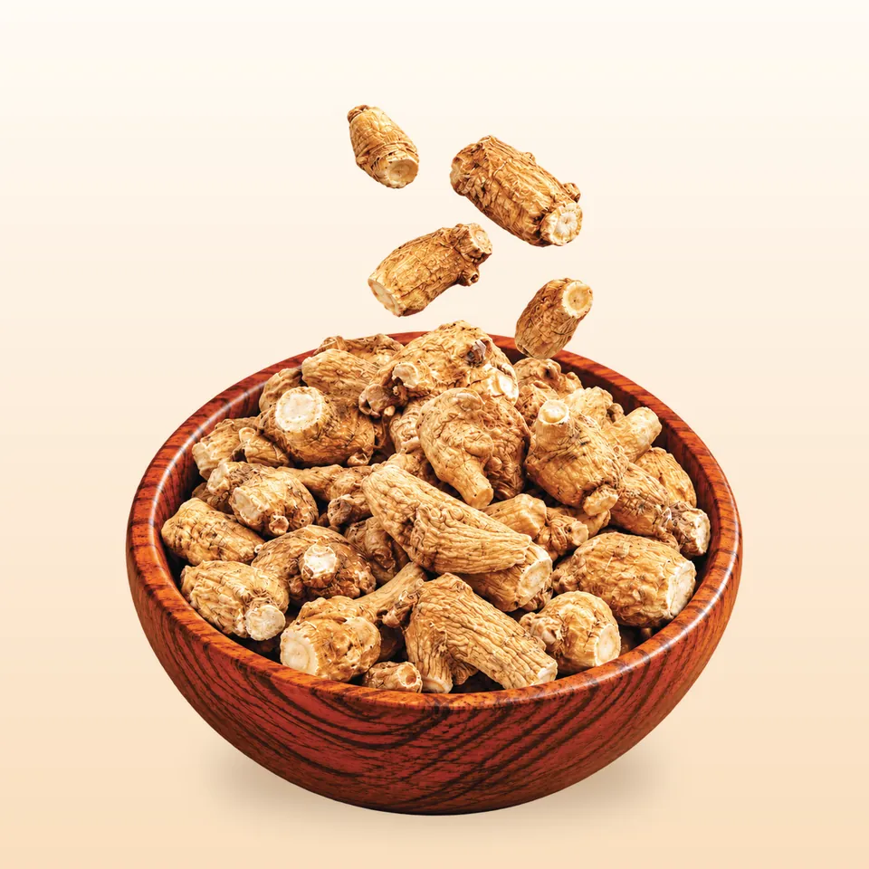 Soap Root