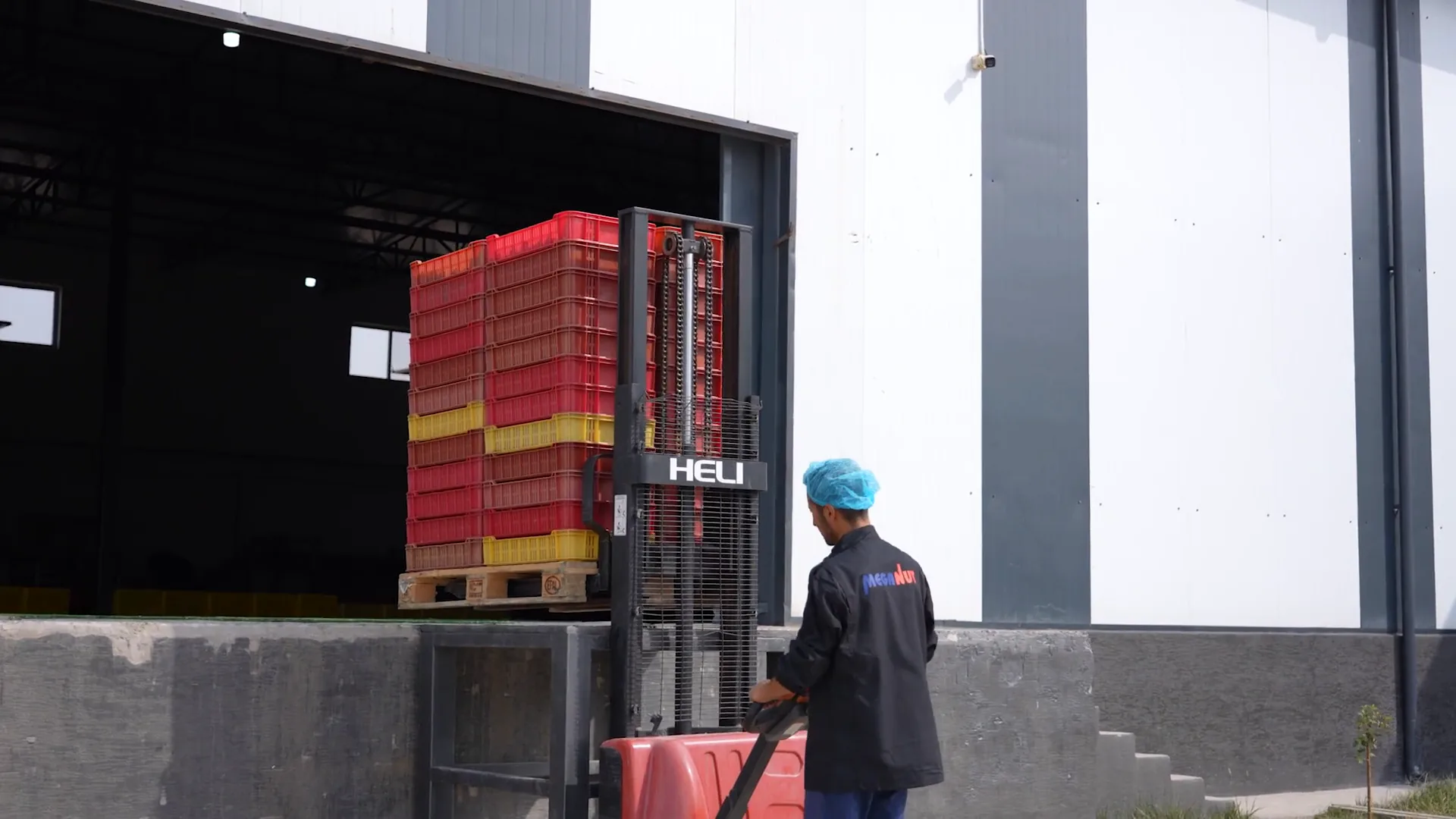Meganut dried apricot processing line
